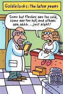 Funny Adult BIRTHDAY Card, Goldielocks Hot Flashes by Sass Greetings + Envelope - Picture 1 of 5
