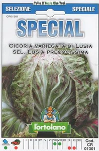 CICORIA VARIEGATA DI LUSIA - SEL LUSIA PRECOCISSIMA- SPECIAL - Foto 1 di 1