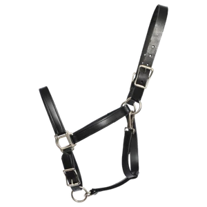 PFERDESGRÖSSE - FERTIG - schwarzer TARNHALTER aus BETA BIOTHAN - Bild 1 von 1