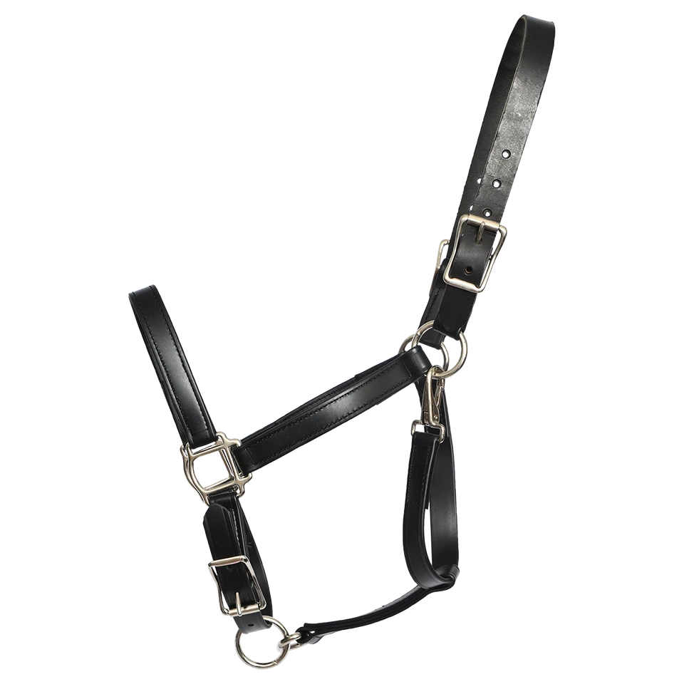 PFERDEGRÖSSE - FERTIG - schwarzes WEIDEHALFTER aus BETA BIOTHANE - Bild 1 von 1