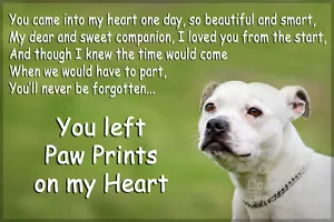 Staffy Staffordshire Bull Terrier white Dog Pet loss Bereavement magnet gift - Picture 1 of 1