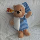 Disney Winnie The Pooh In Night Shirt 12" with tags.