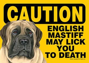 English Mastiff Caution May Lick You To Death Dog Sign Magnet Hook & Loop Fas... - Picture 1 of 1