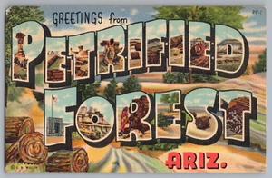 Postcard Greetings From, Petrified Forest, Arizona, Large Letter - Picture 1 of 2