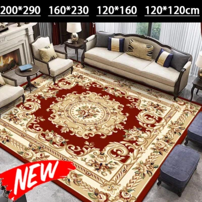 Floor Rug Rugs Area Carpet Mat Soft Large Pads Living Room Bedroom Pad Anti-Slip - image 1 of 4