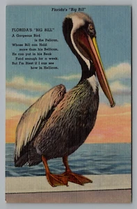Poema Big Bill de Florida sobre el pelícano postal de lino sin publicar - Imagen 1 de 2