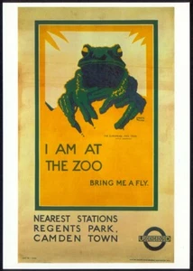 Modern Postcard: European Tree Frog at London Zoo. 1923 Poster Repro (LTM409) - Picture 1 of 1