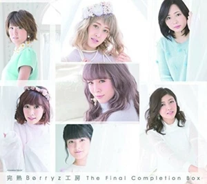 Kanjuku Berryz Kobo The Final Completion Box First Limited Edition Type B CD DVD - Imagen 1 de 1