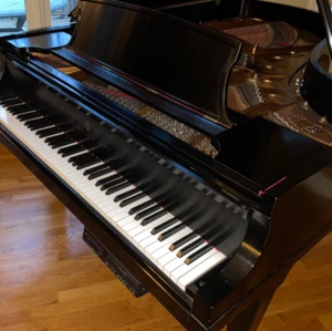 Steinway and Sons Model B 1969 Satin Ebony. New Steinway Renner Parts in 2021 - Picture 1 of 16