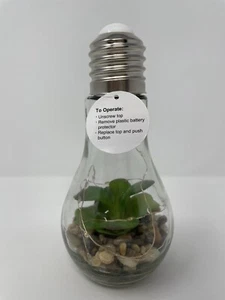 Faux Succulent LED Light Up Light Bulb Home Decor Cheerful CHD798 *NEW* Style 3 - Picture 1 of 4