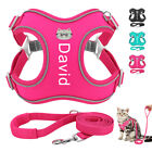 Reflective Soft Personalised Dog Puppy Harness & Leash Printed Pet Cat Name 2XS 