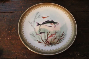 HAND PAINTED FISH PLATE BODLEY late 19th early 20th century (B) - Picture 1 of 7