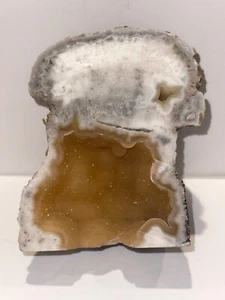 Raro Corallo Fossile Agatizzato Geode Mezzo Cristallo Florida 818 grammi - Foto 1 di 7