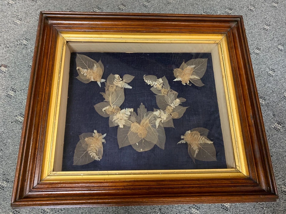 CAJA SOMBRA ARTE HOJA ESQUELETO VINTAGE Foto 1 de 4