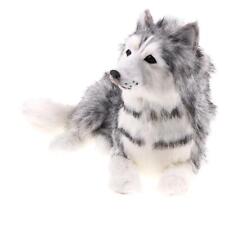 Faux fourrure réaliste husky animal enseignement modèle figurines décor à la