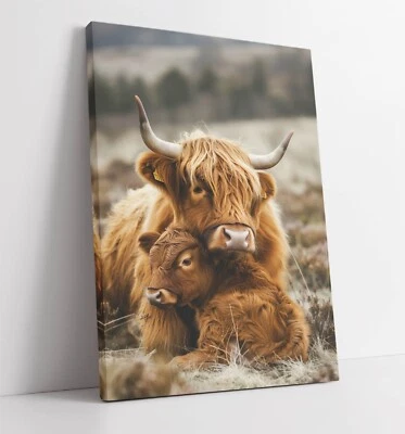 CUTE HIGHLAND COW MOTHER AND CHILD HOME DECOR CANVAS WALL ART PICTURE PRINT - Image 1 of 2