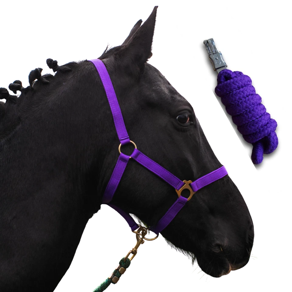 Halfter Set / Halfter mit Strick Pony 2-Fach verstellbares Pferdehalfter - Bild 1 von 1