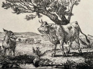 Etching Original Louis GUY (1824-1888) Landscape, Cows 1875 - Picture 1 of 8