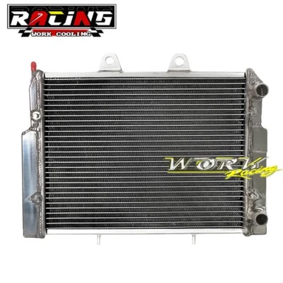 Radiador de aluminio de 2 filas para Polaris RZR 570 S 2007-2017 4 800 800S EFI ACE 900 Foto 1 de 4