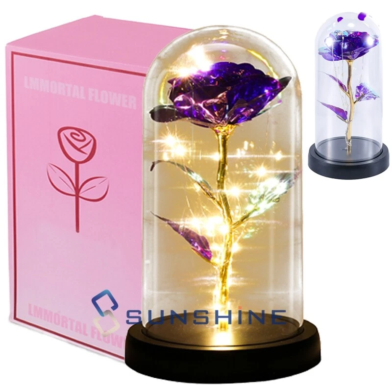 Forever Galaxy Rosa Flor Romántica Eterna Regalo En Cúpula de Vidrio Luz LED para Ella Foto 1 de 4