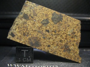 Meteorito NWA 16731 - Condrita LL6 - Clastos altamente recristalizados - Imagen 1 de 2