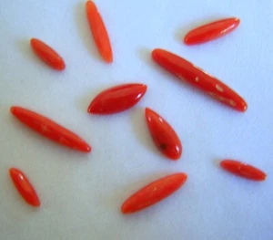 Lote de 10 piezas de piedras preciosas sueltas ovaladas de coral - Imagen 1 de 4