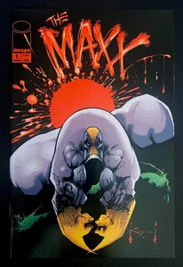 Maxx #1 Hi-Grade By Sam Kieth Image Comics 1993 - Picture 1 of 2