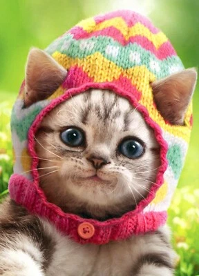 Linda Tarjeta FELIZ PASCUA, Gatito Gato Gorro Abrazos y Besos por Avanti + Sobre Foto 1 de 4