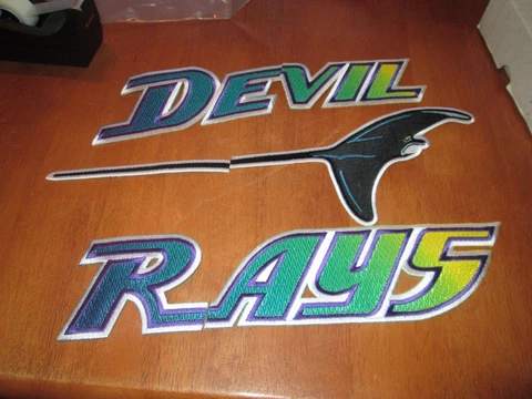 AWESOME TAMPA BAY DEVIL RAYS JERSEY IRON ON PATCH Cover