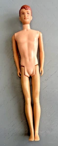 Allan Barbie Vintage Mattel - 1960's Barbie & Ken's Friend in Movie - Picture 1 of 14