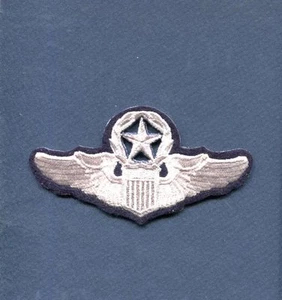 USAF US Air Force COMMAND PILOT WING 4 1/2" Mütze Jacke Squadron Patch - Bild 1 von 1