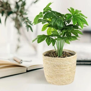 Artificial Fatsia Japonica Patterned Natural Fake Plant in Cotton Rope Basket - Picture 1 of 12