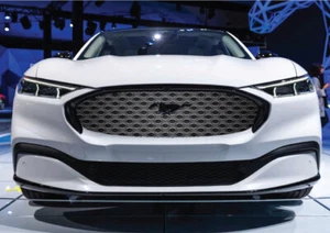 Fits Ford Mach-E Mustang Grille Vehicle Graphic Wrap Silver Grid Metal Mesh Oval - Picture 1 of 1