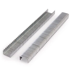 Arrow A504IP T50 Graffette Heavy Duty 1/4" (Confezione Da 5000) - Foto 1 di 3