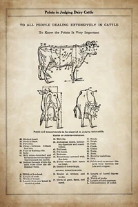 Poster Decorazione. Design parete interna casa. Negozio di animali vintage. Fattoria Vet.Mucca.15002 - Foto 1 di 1
