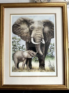 Ian Forest Pencil Drawing - Sketch drawing of Elephants - Signed Numbered Print - Picture 1 of 11