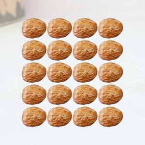 Artificial Walnut Photo Props 20Pcs Realistic Models for Display Use - Bild 1 von 12