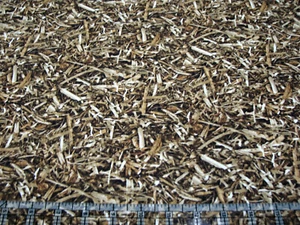 3 Yards Cotton Fabric - Northcott Naturescapes Wood Shavings Natural Tan Brown - Picture 1 of 1