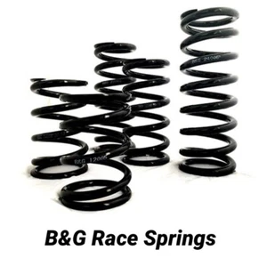 B&G Racing Spring - Single - Length 190mm 7.5” - Rate 4KG 225lb/in - 2.5”/63.5mm - Picture 1 of 1