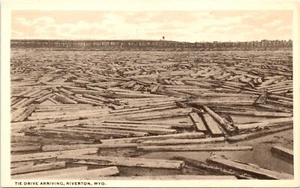 Holz am Fluss Die Fahrt Ankunft Riverton WY POSTKARTE - Bild 1 von 2