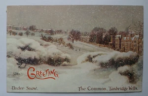 Greetings postcard showing The Common, Tunbridge Wells. 'Under Snow' CDS 1907 - Picture 1 of 8