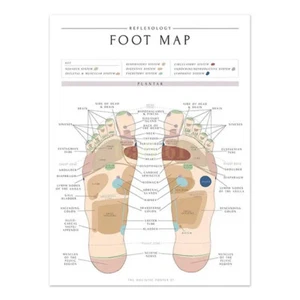 SALE HOT FOOT MAP ACUPUNCTURE POINT DIAGRAM ANATOMY CHART PREMIUM POSTER - Picture 1 of 4