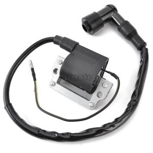 Ignition Coil Assy For Yamaha MX100 MX125 MX175 MX400 RD60 RT100 XT250 - Imagen 1 de 7