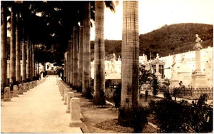 Palm Avenue in Guayaquil Cemetery Ecuador 1930s RPPC Postcard Photo - Picture 1 of 2