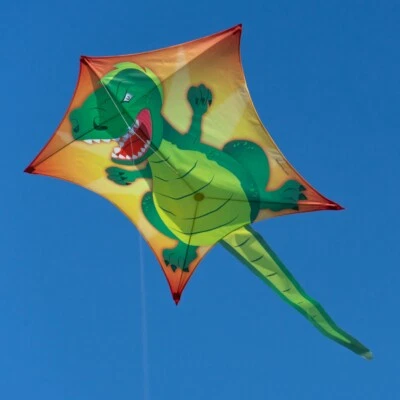 CIM Drachen Penta T-Rex 167cm x 102cm Einleiner Flugdrachen Kinder Drachenschnur - Bild 1 von 4