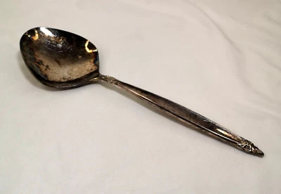 Guirnalda de cuchara para servir cazuela lisa sólida 1847 Rogers Bros IS plato de plata Foto 1 de 4