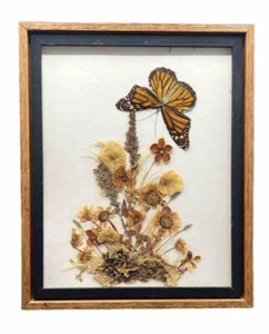 VTG Framed Real Butterfly Dried Floral Boho Wall Art 11x9” Monarch Signed - Picture 1 of 6