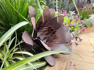 Flower - Australian Made Rusted Metal Garden Art - Picture 1 of 4