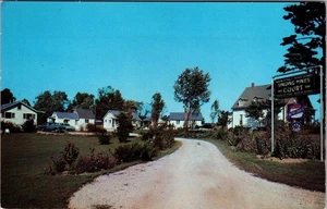 Cartolina Nashville Indiana Singing Pines Court Motel cromata D854 - Foto 1 di 2
