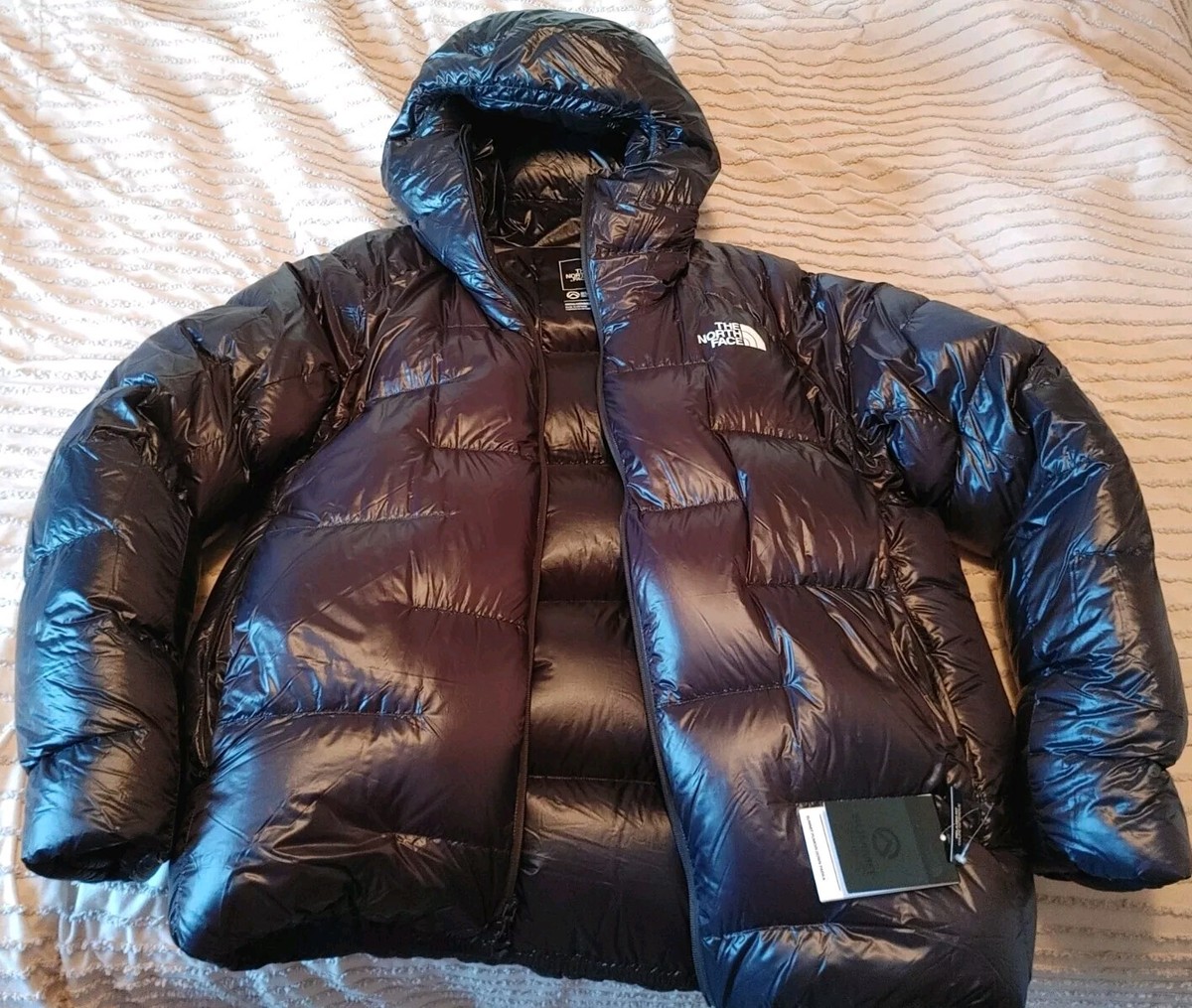 North Face Summit Series 800 In Men's Coats & Jackets for